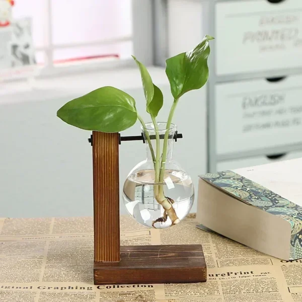 Terrarium Hydroponic Plant Vases Vintage Flower Pot Transparent Vase Wooden Frame Glass Tabletop Plants Home Bonsai Decor - Image 3