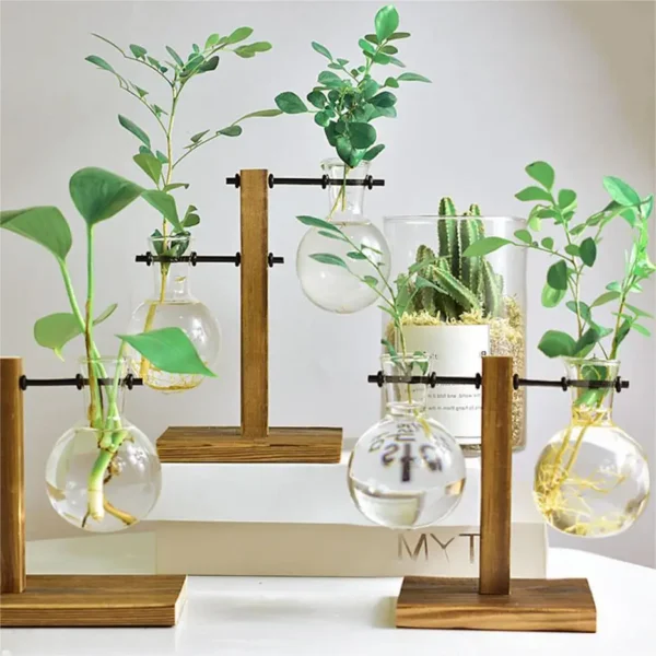 Creative Glass Desktop Planter Bulb Vase Wooden Stand Hydroponic Plant Container Decor Home Tabletop Decor Vases - Image 2